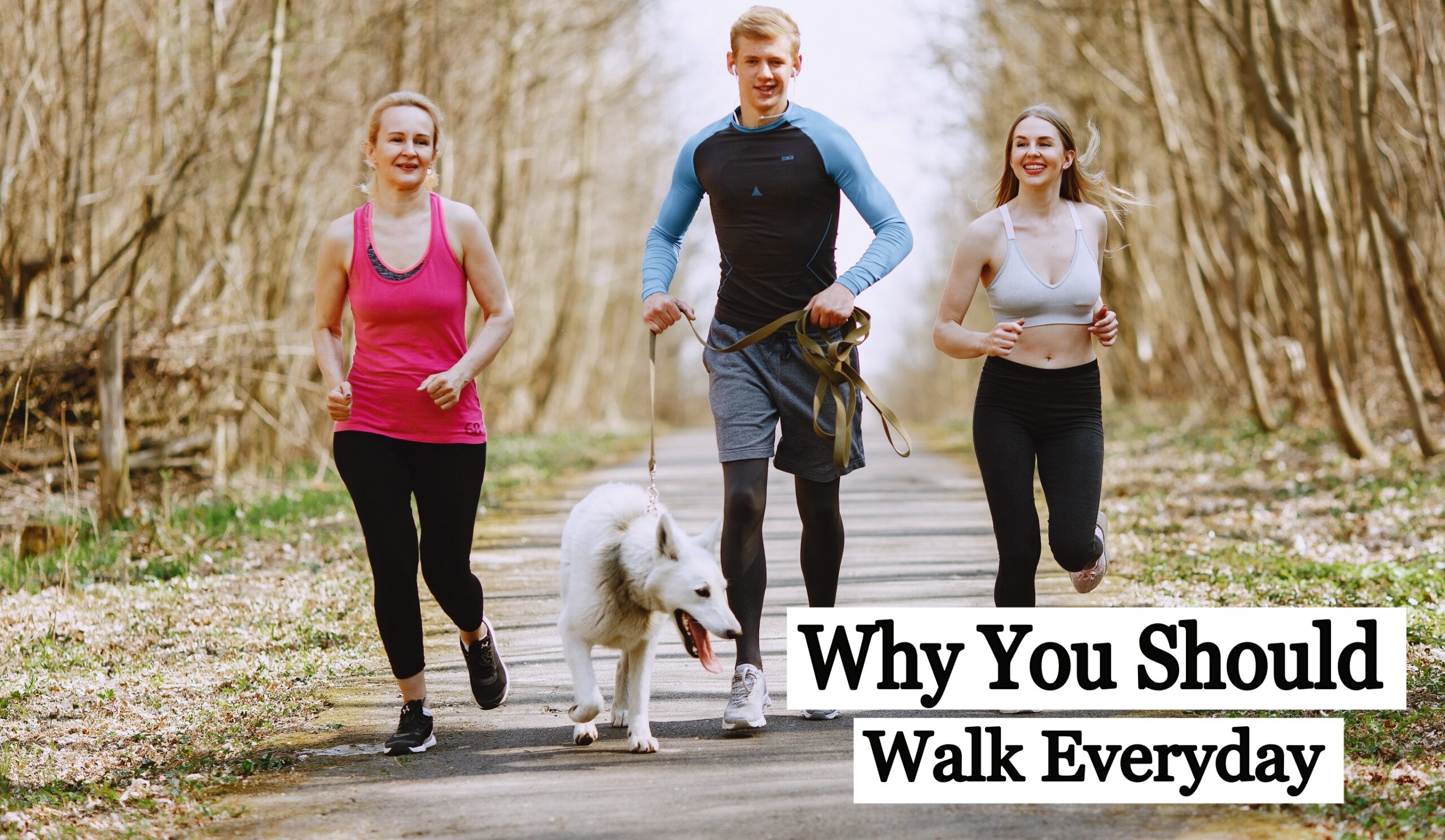 Why You Should Walk Everyday